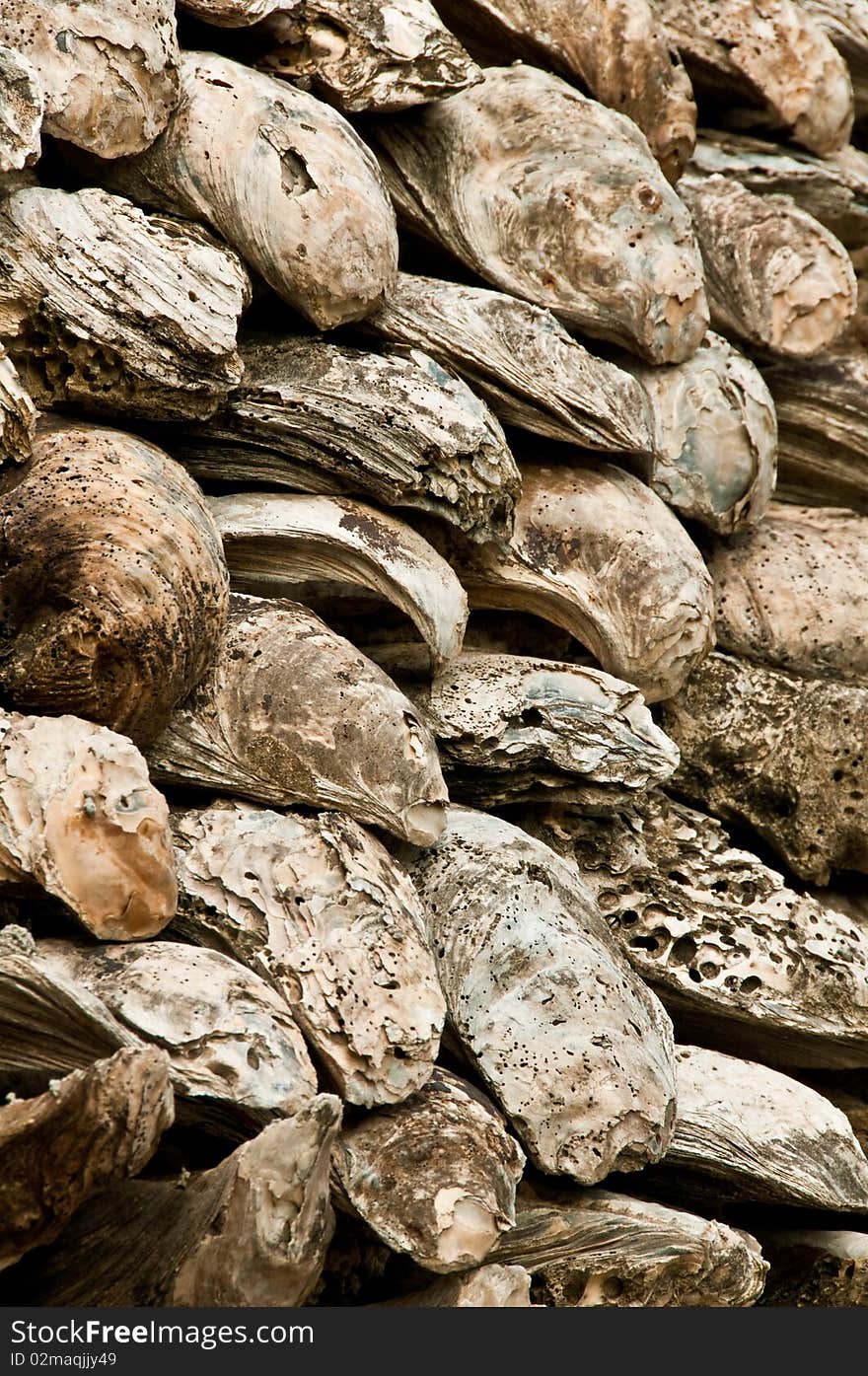 Old giant oyster were used to build a Thai pagoda. Old giant oyster were used to build a Thai pagoda