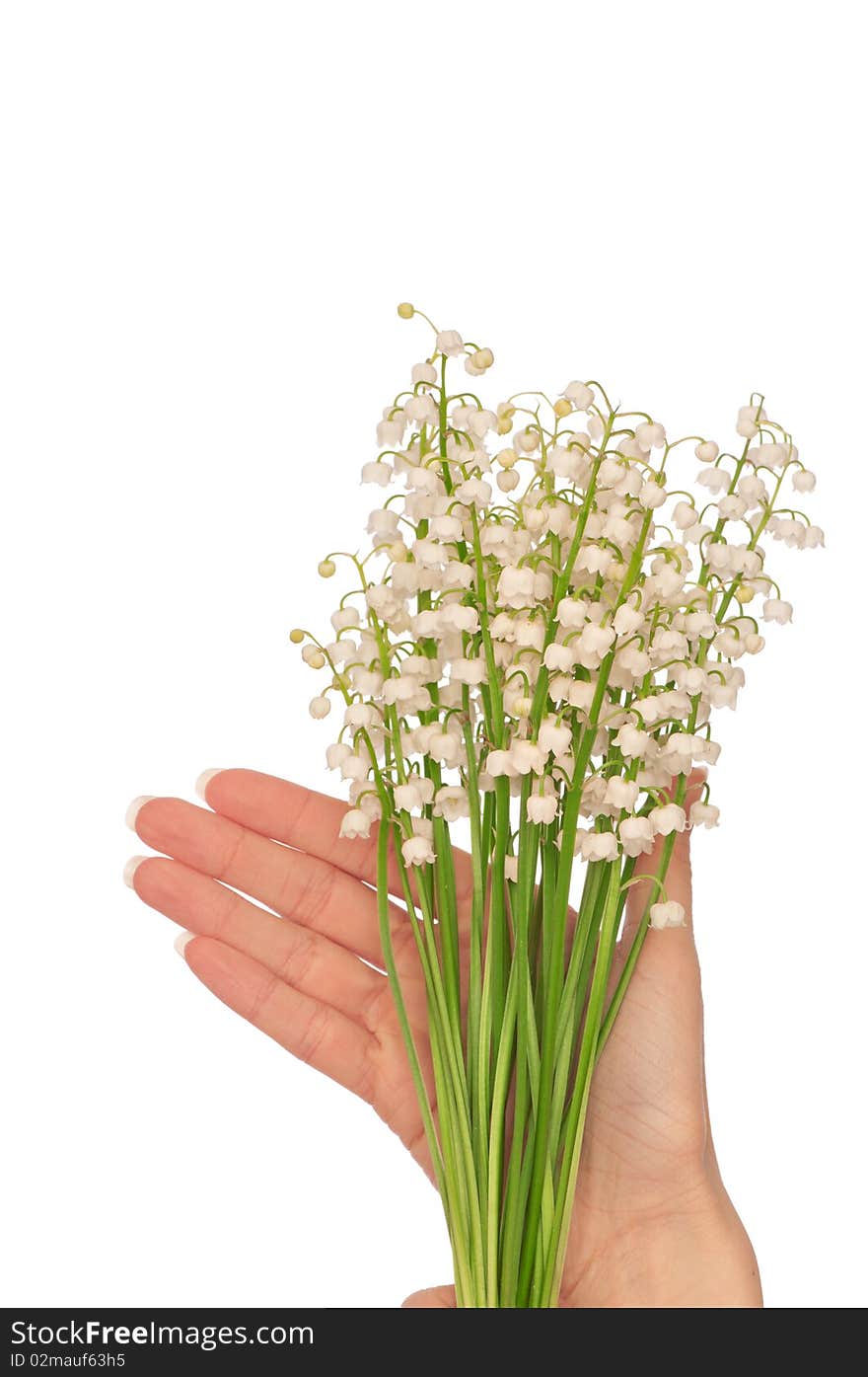 Woman holding lily of the valley in the hand