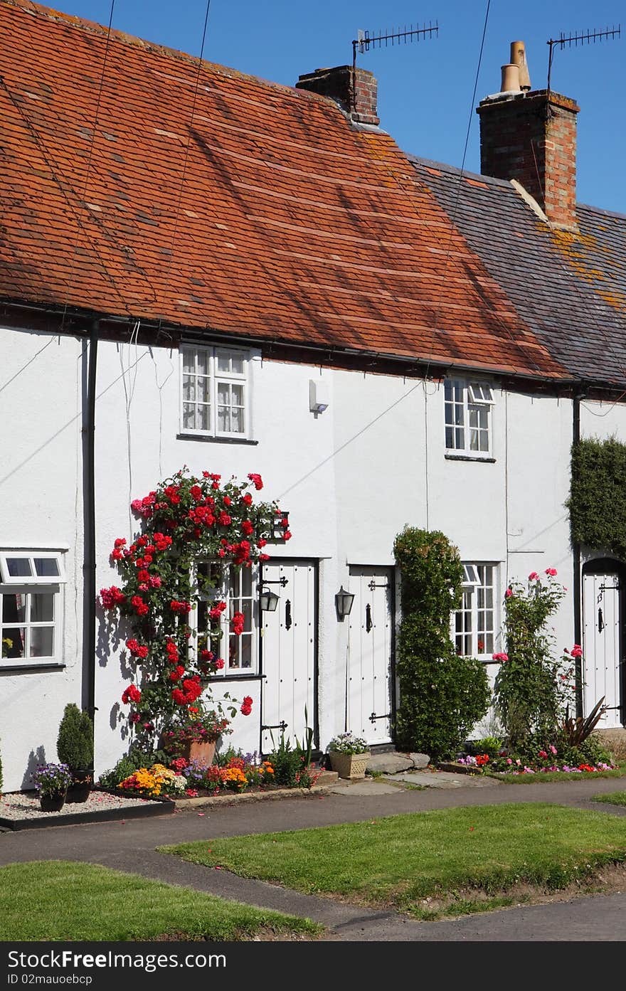 Traditional whitewashed English Village Cottage  with roses on the wall. Traditional whitewashed English Village Cottage  with roses on the wall