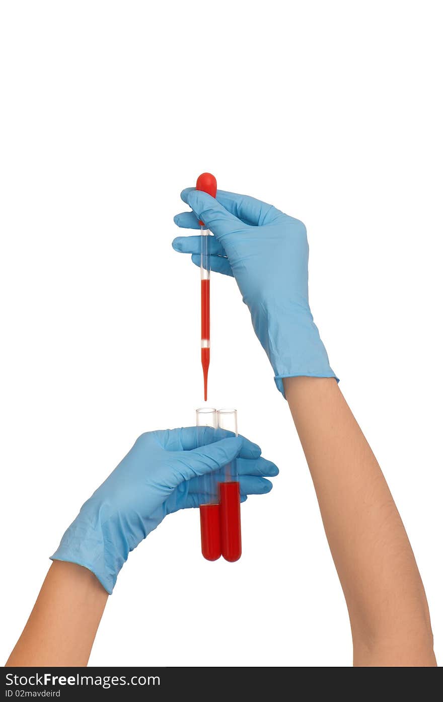 Doctor research a sample of blood for vaccine. Doctor research a sample of blood for vaccine