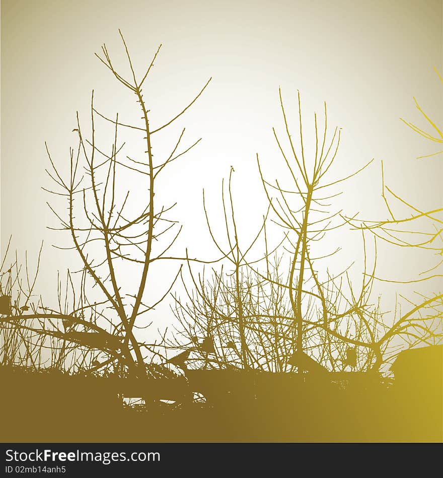 Abstract Background. Vector Illustration