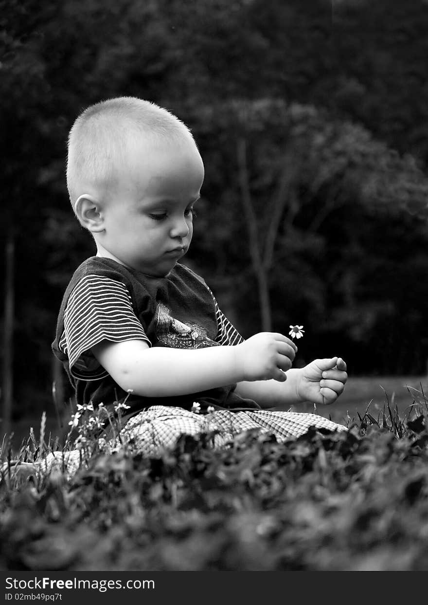 Black and white portrait of a small boy sitting on a meadow with a daisy in his hand. Black and white portrait of a small boy sitting on a meadow with a daisy in his hand