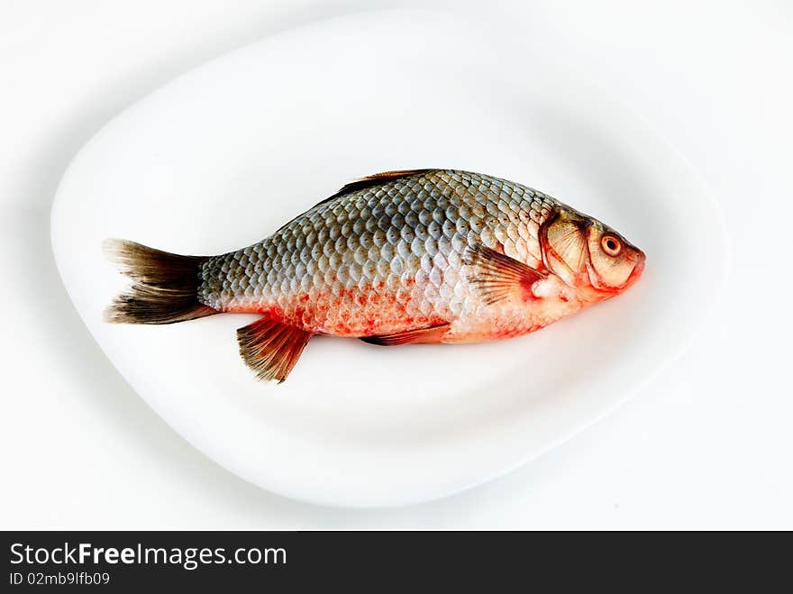 Close-up of a fish on plate. Close-up of a fish on plate