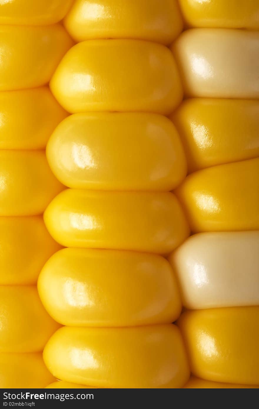 Close up on the grains of a corn on the cob. Close up on the grains of a corn on the cob.