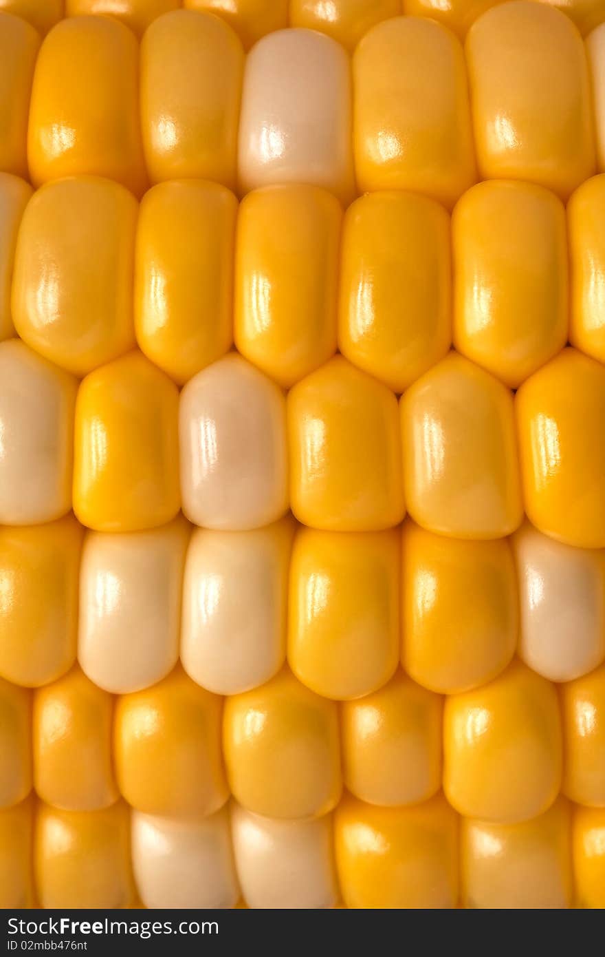 Close up on the grains of a sweet corn on the cob.