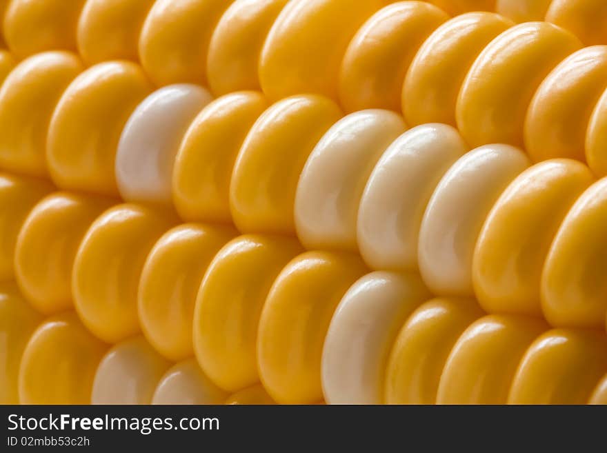 Close up on the grains of a sweet corn on the cob.