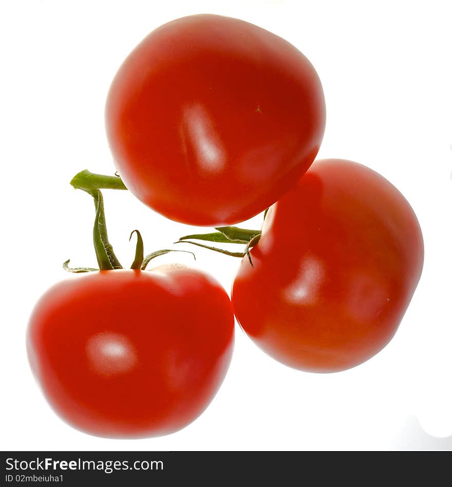 Three tomatoes on white background