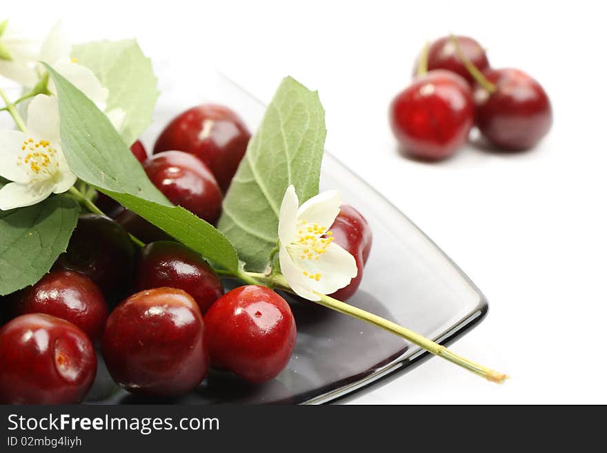 Sweet cherries with white flowers