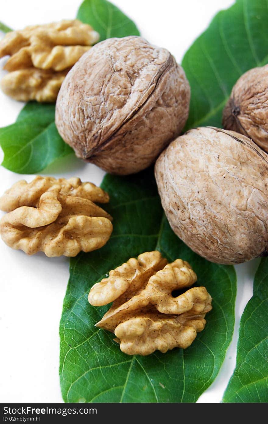 Walnut kernel and green leaves over white. Walnut kernel and green leaves over white