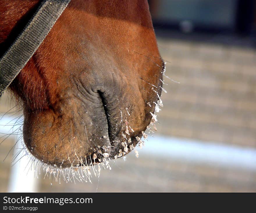 Small icicles