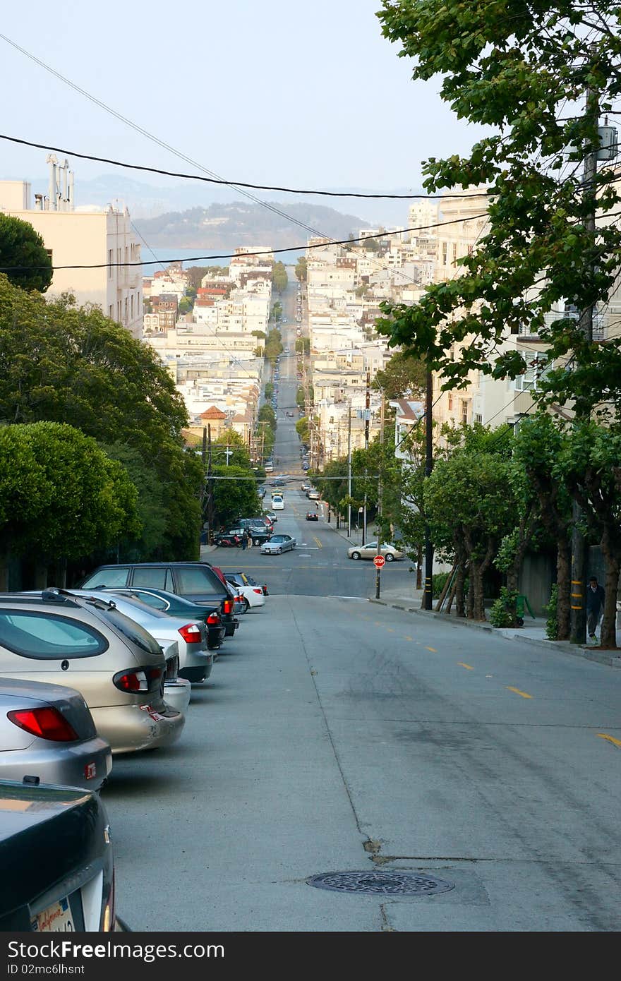 View of streets with plants in San Francisco. View of streets with plants in San Francisco