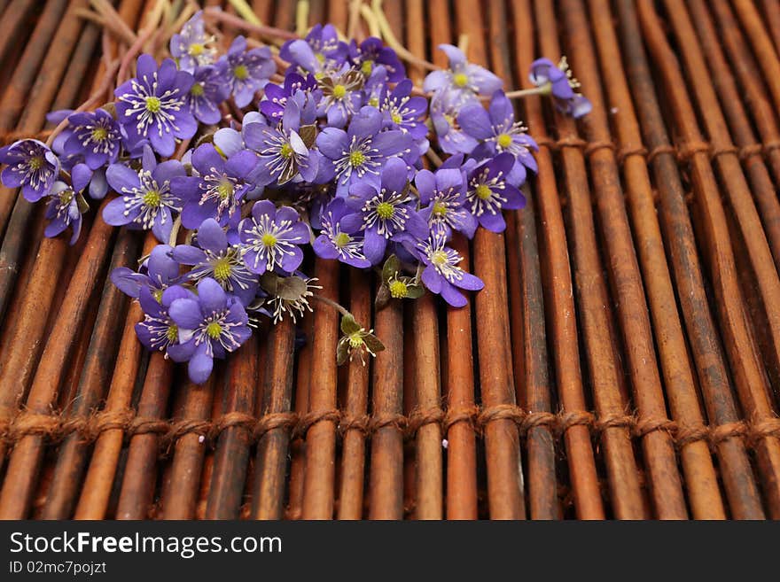 Violet flowers on a brown mat. Background