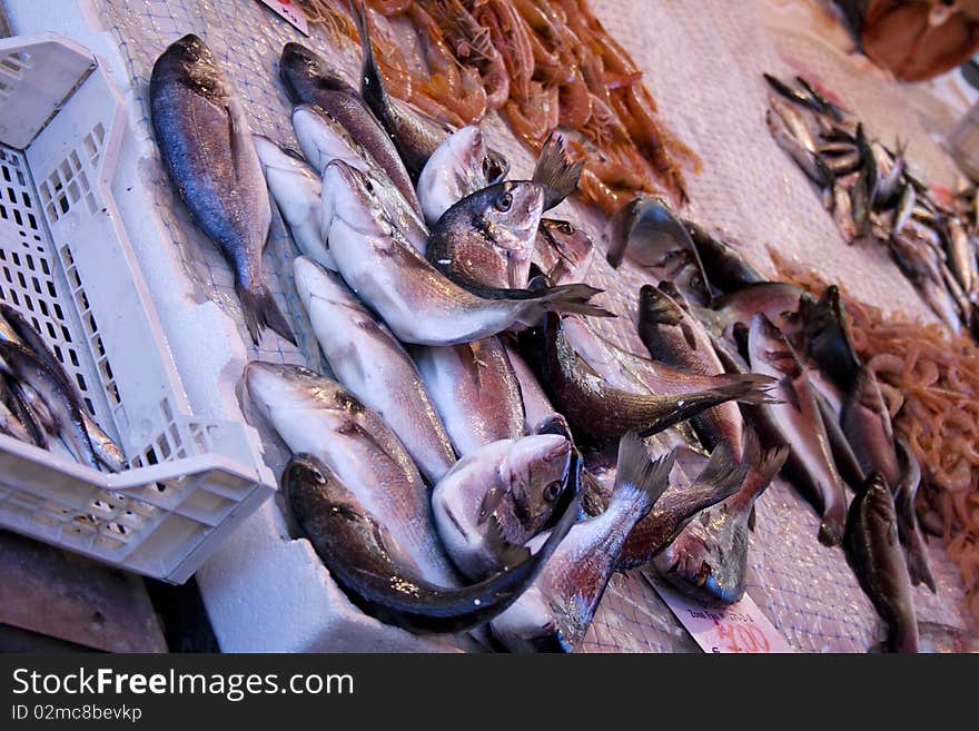 Fish on a stand at a market. Fish on a stand at a market.