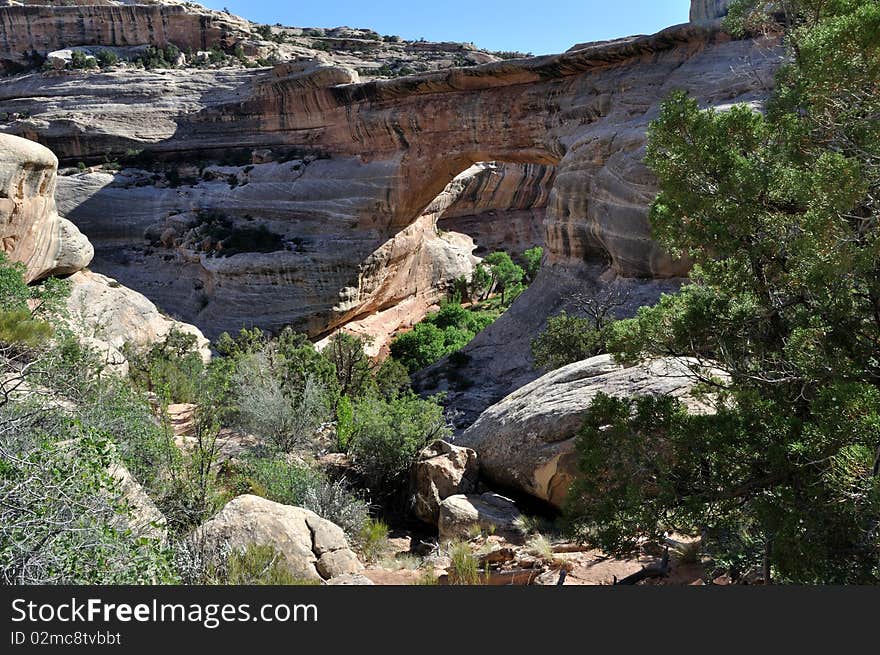 Sipapu Natural Bridge, in southern Utah