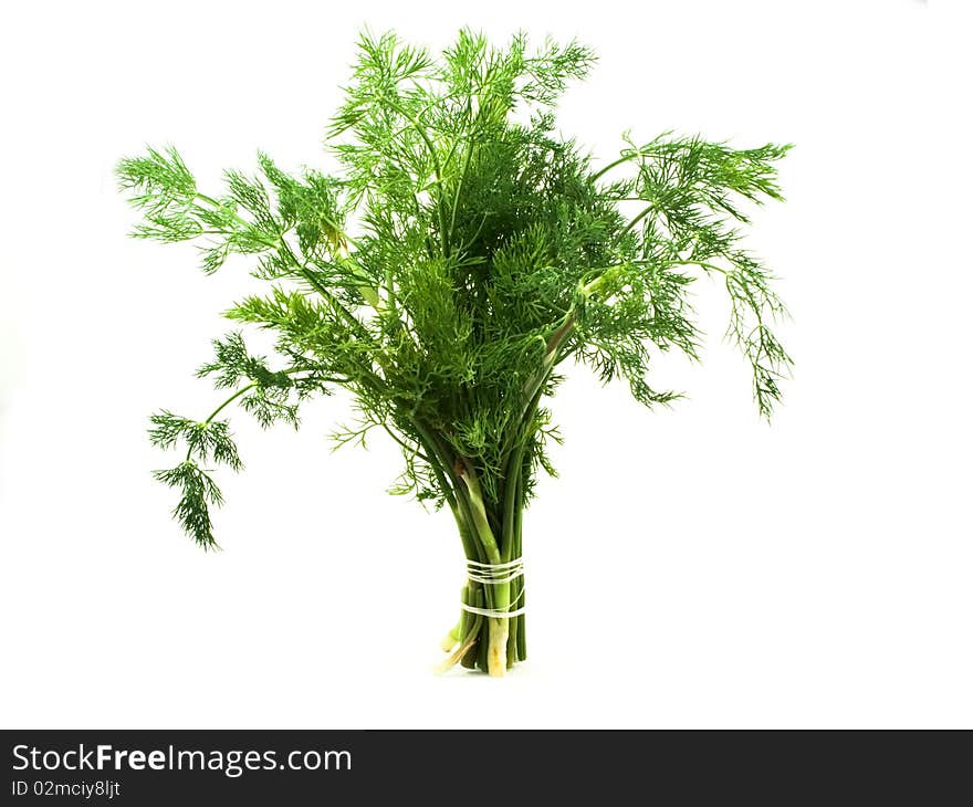 Bounded thread green bunch dill on white background. Bounded thread green bunch dill on white background