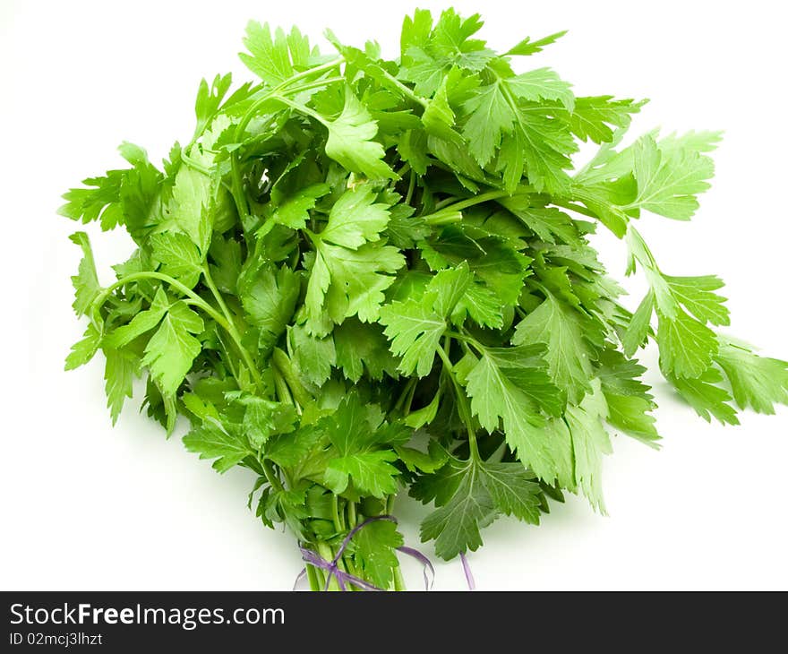 Bounded thread green bunch parsleys on white background. Bounded thread green bunch parsleys on white background