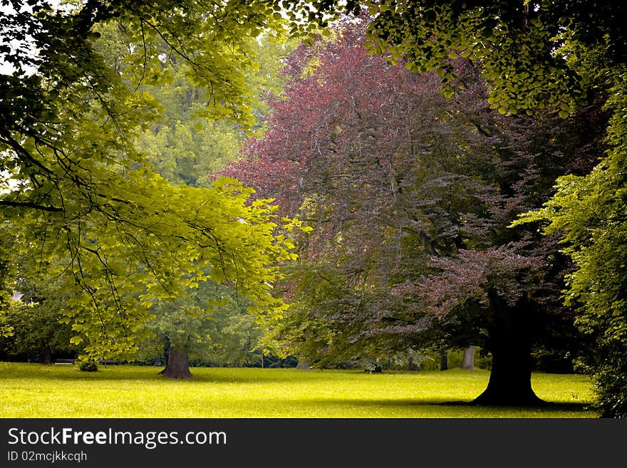 Paths in the park