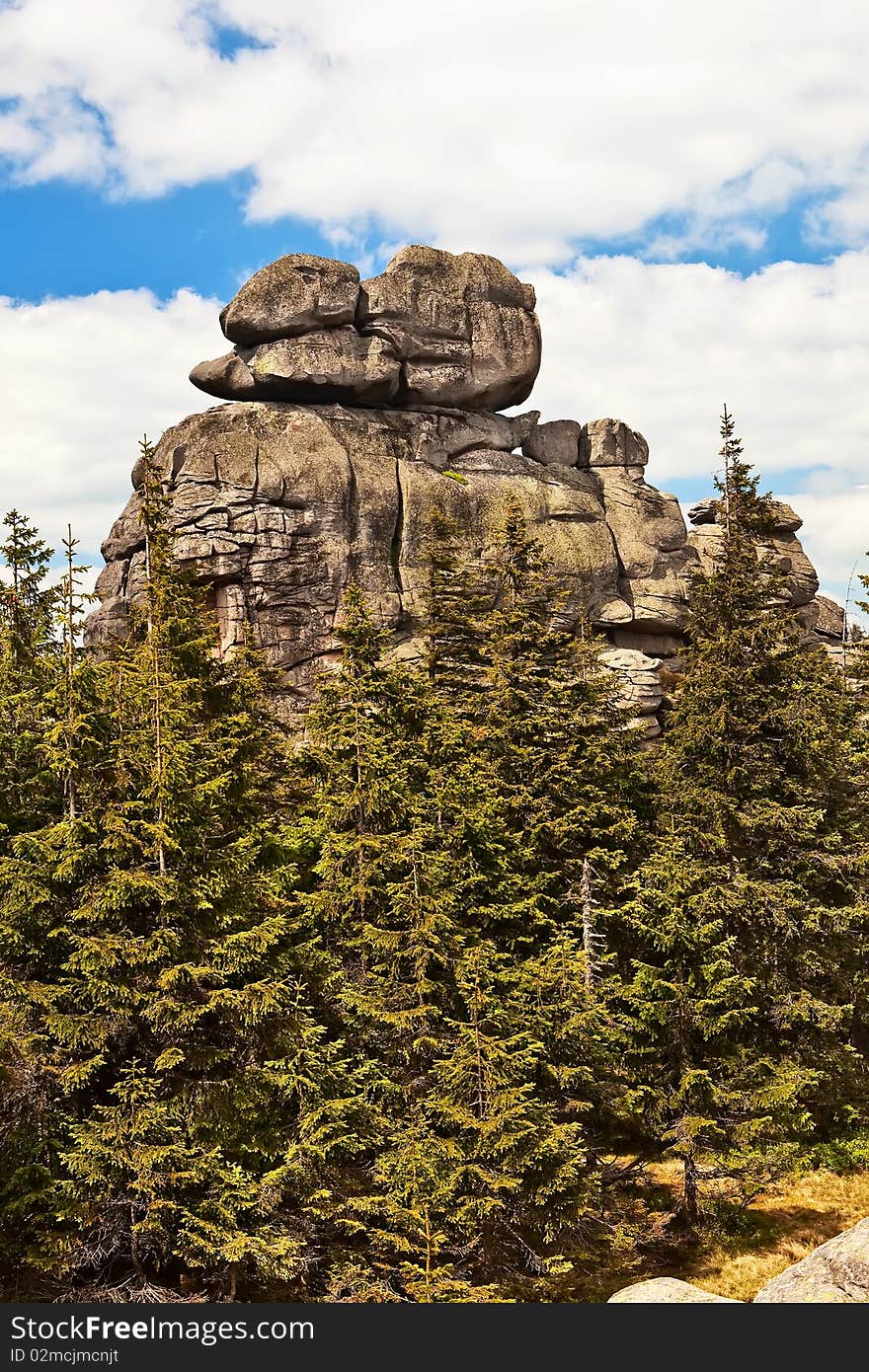 Spectacular rock over forest.