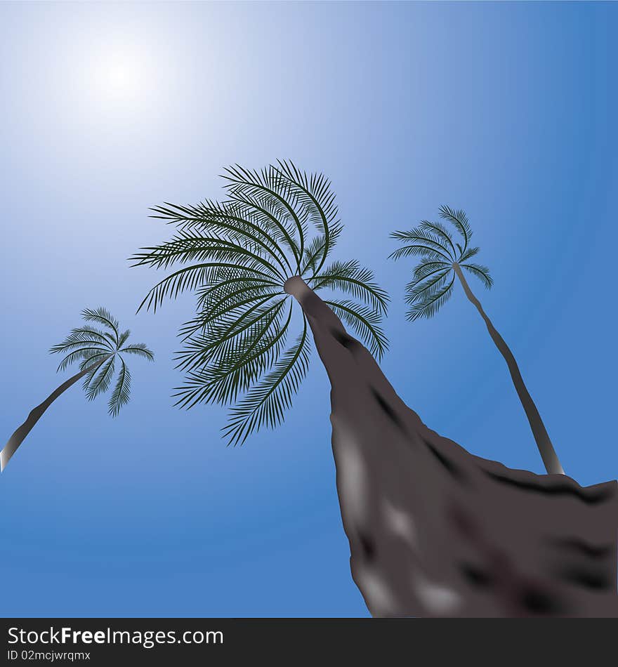 Tropical Scene With Palms