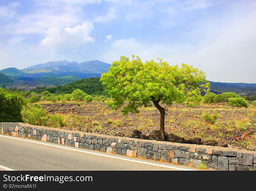 Photo of landscape with tree, meadow and mountains in background