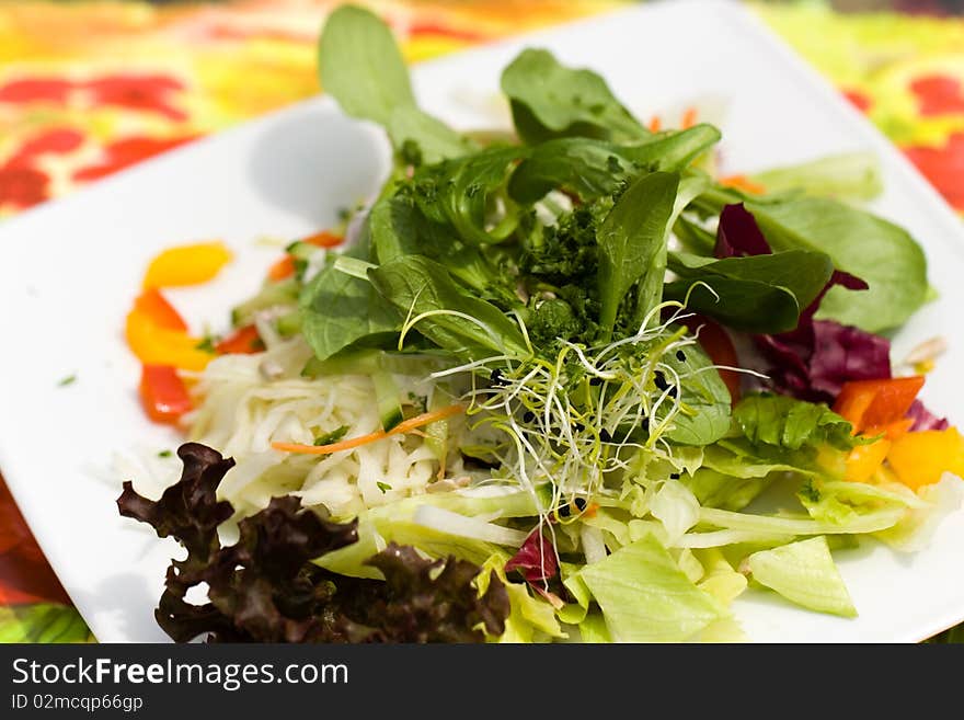 Fresh,big italian summer salad ,a close up shot