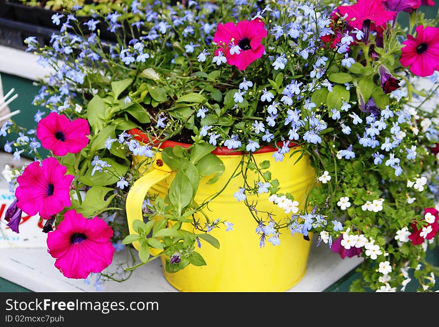 Water Can Flowers