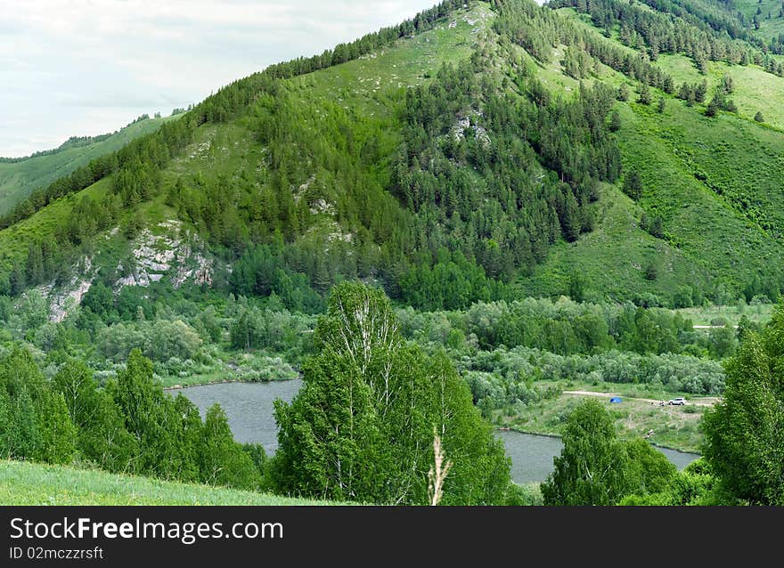 Panorama of hills and mountain vegetation. Panorama of hills and mountain vegetation