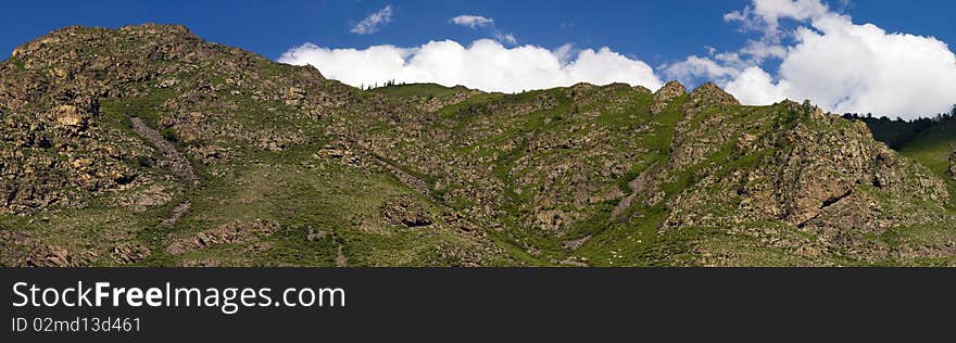 Panorama of a large forest against mountains. Panorama of a large forest against mountains