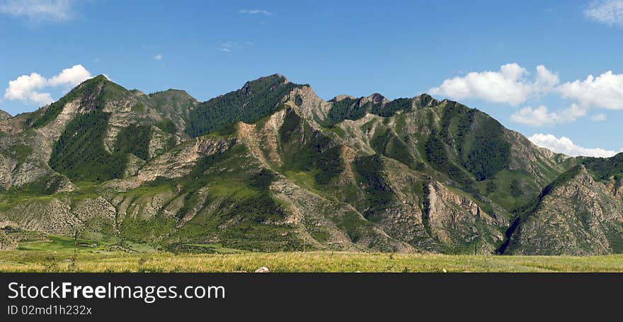 Panorama of hills and mountain vegetation. Panorama of hills and mountain vegetation