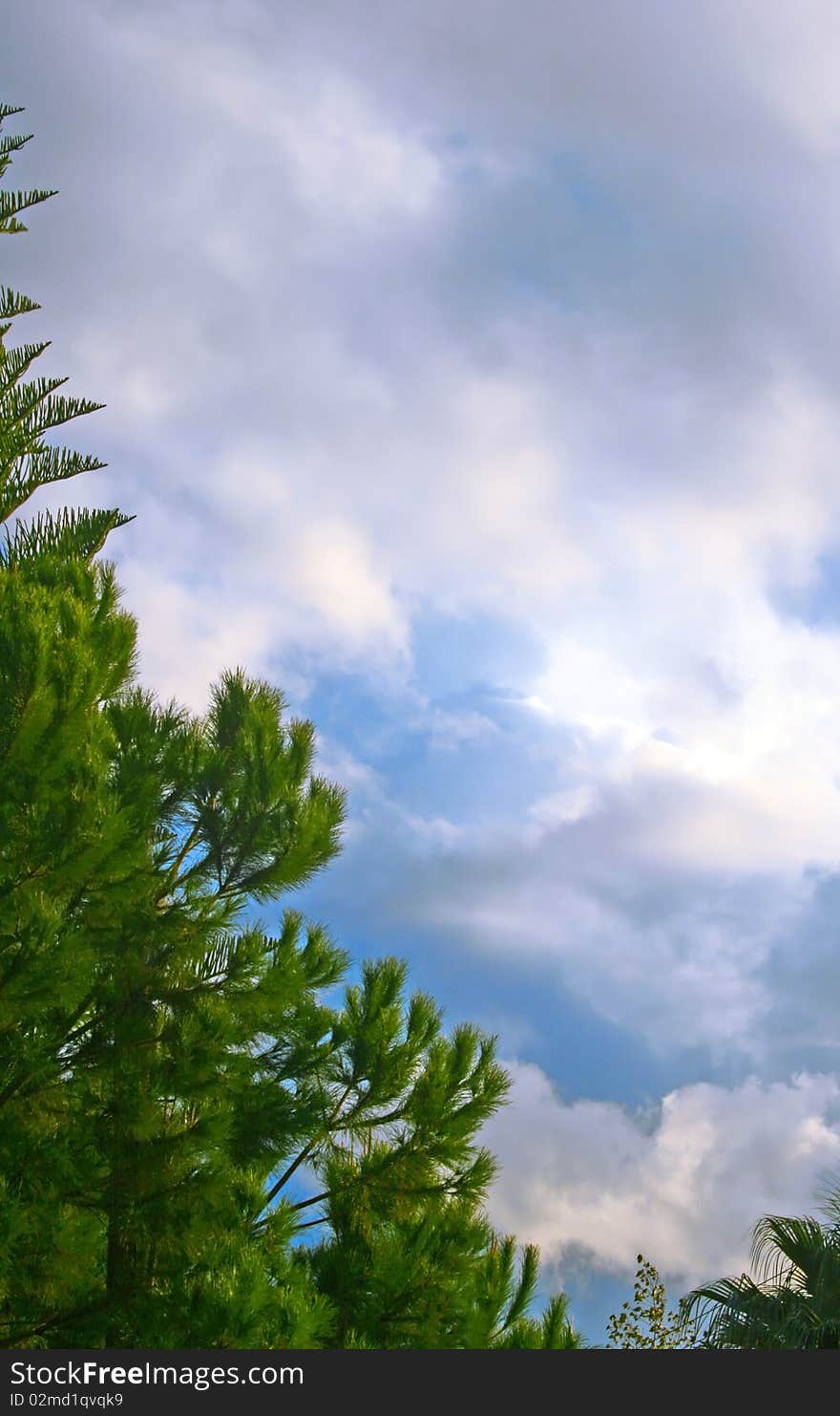 Gray clouds in the sky.