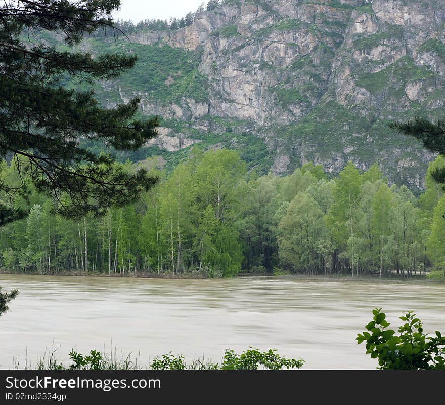 Panorama of a large forest against mountains. Panorama of a large forest against mountains