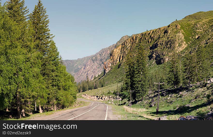 Panorama of hills and mountain vegetation. Panorama of hills and mountain vegetation