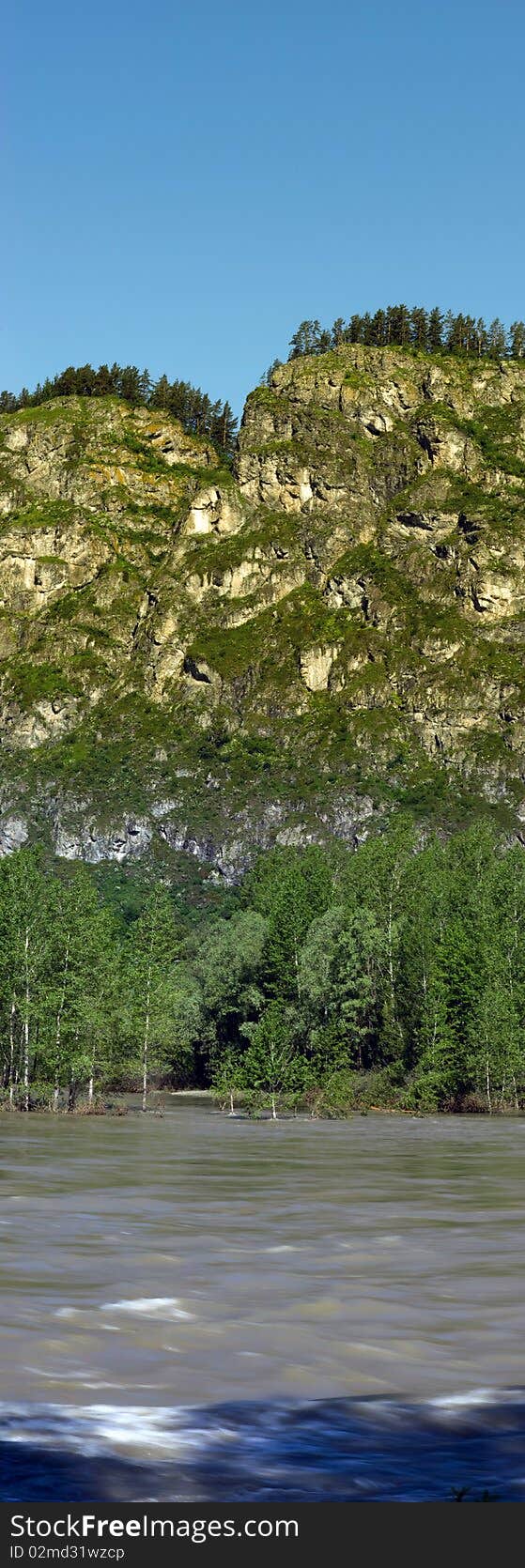 Panorama of hills and mountain vegetation. Panorama of hills and mountain vegetation