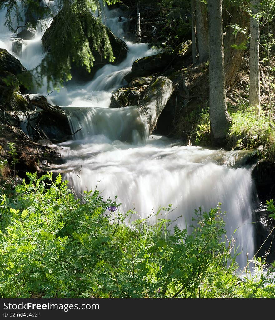 The mountain river flows among vegetation. The mountain river flows among vegetation