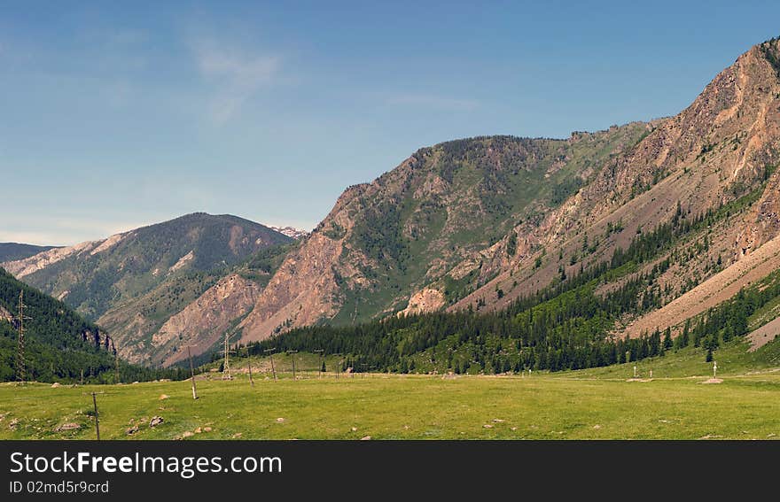 The mountain river flows among vegetation. The mountain river flows among vegetation