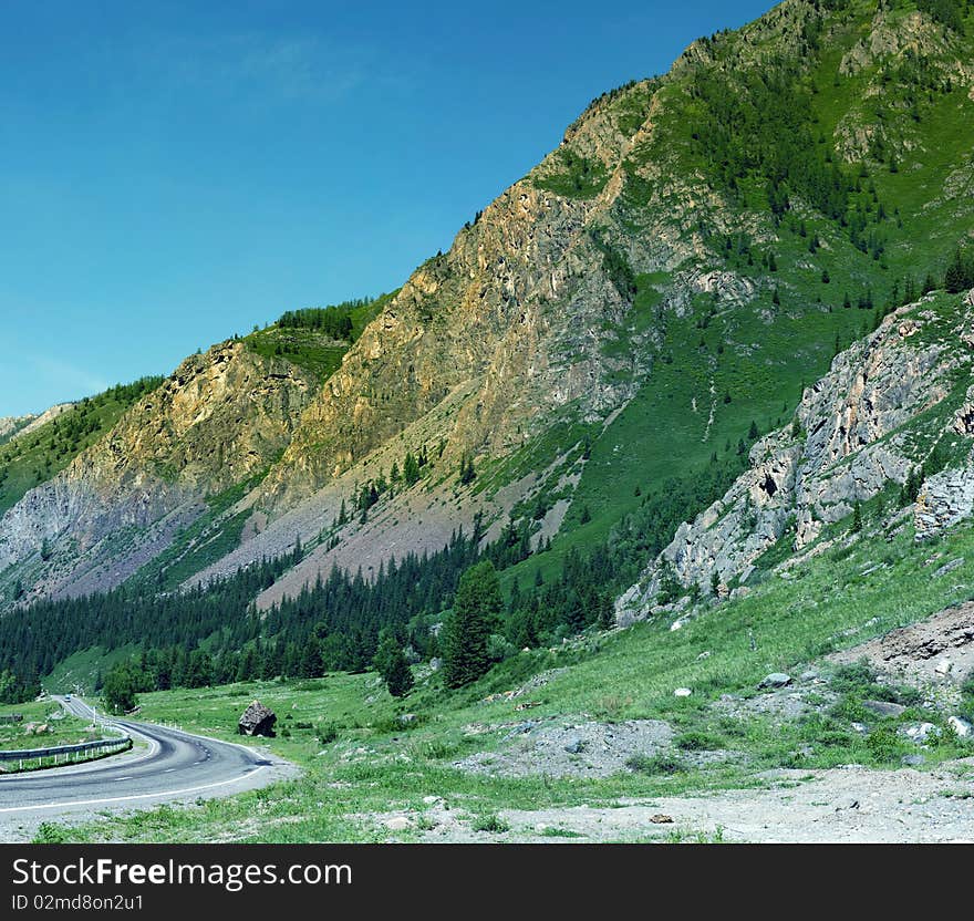 The mountain river flows among vegetation. The mountain river flows among vegetation