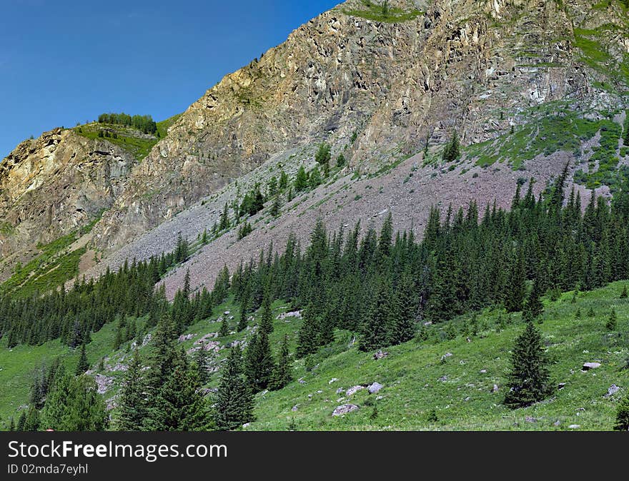 The mountain river flows among vegetation. The mountain river flows among vegetation