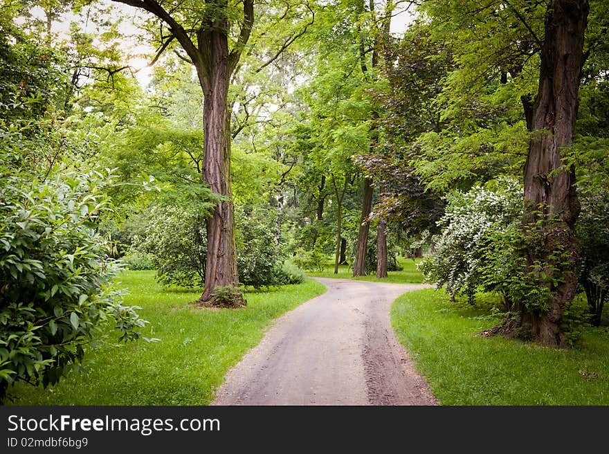 Paths in the park