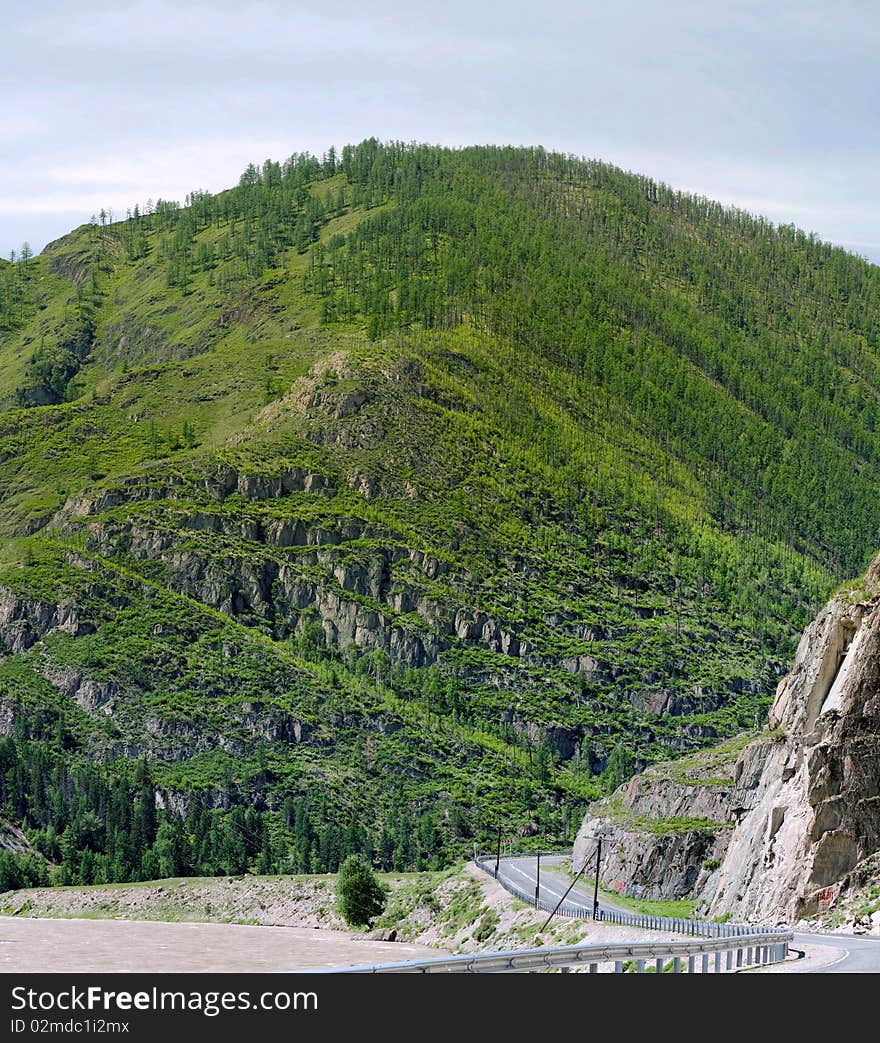 The mountain river flows among vegetation. The mountain river flows among vegetation