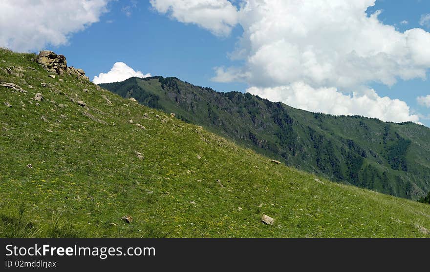 The mountain river flows among vegetation. The mountain river flows among vegetation