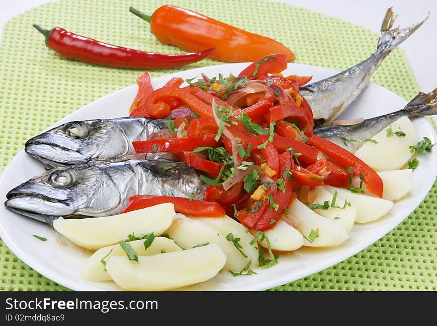 Atlantic mackerel fish