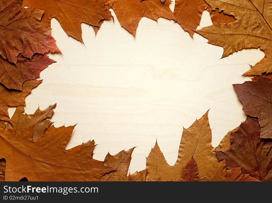 Autumn background made of leafs on wooden board