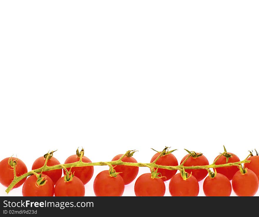 A row of cherry tomatoes on the vine, with a white background. A row of cherry tomatoes on the vine, with a white background