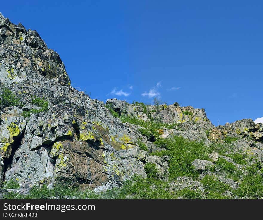 The mountain river flows among vegetation. The mountain river flows among vegetation