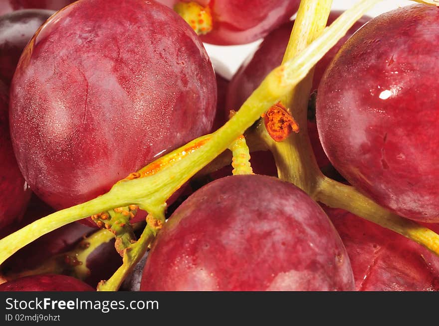 Macro Photo grapes and stems. Macro Photo grapes and stems.