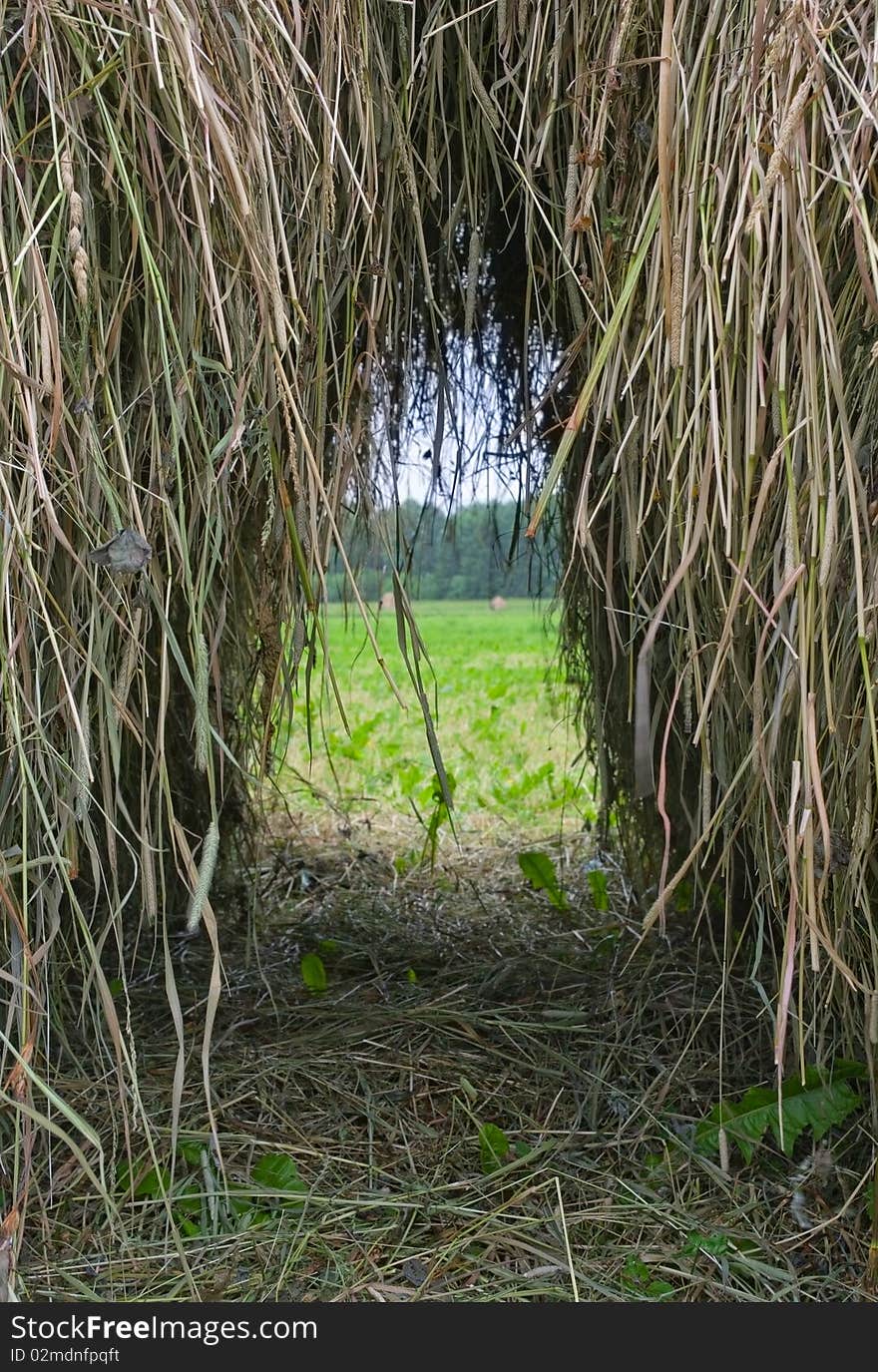 Hole in the haystack.