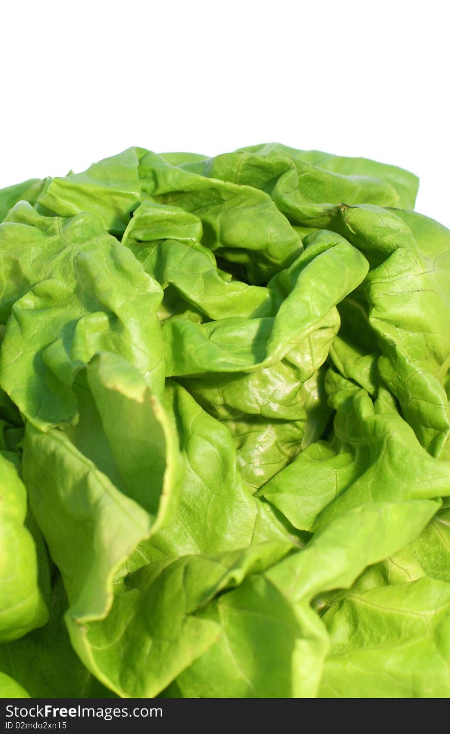 Lettuce