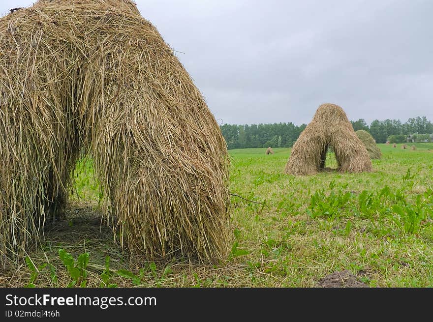 Landscape with haystacks.