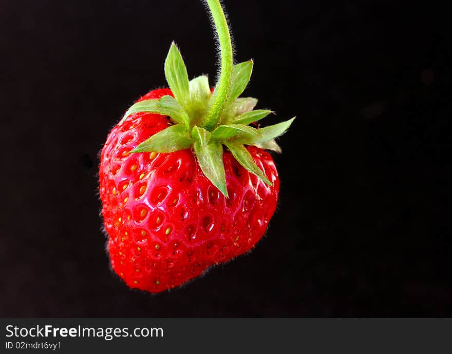 Exempt individuals from strawberry black background.