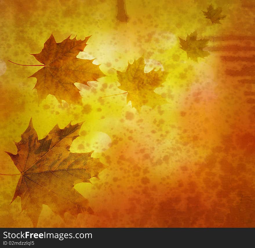 Vintage background with maple leaves